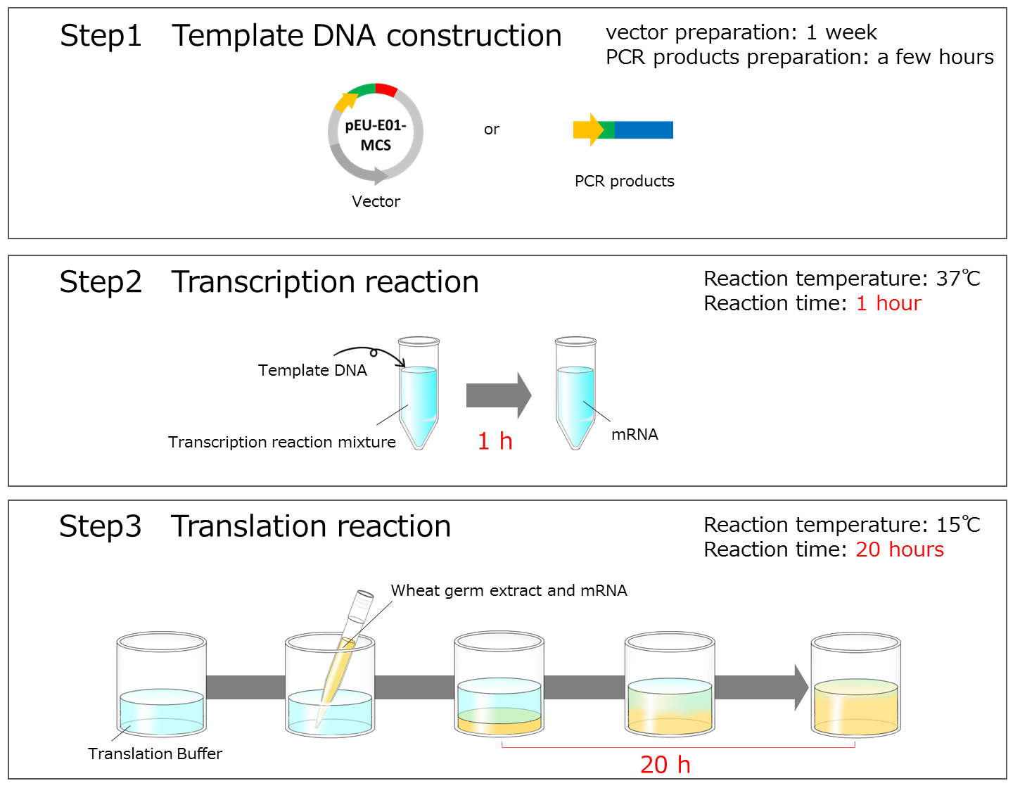 Protein Reseach Kit img2 en