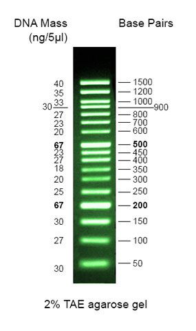 G474	Safe-Green  1kb Opti-DNA Marker
