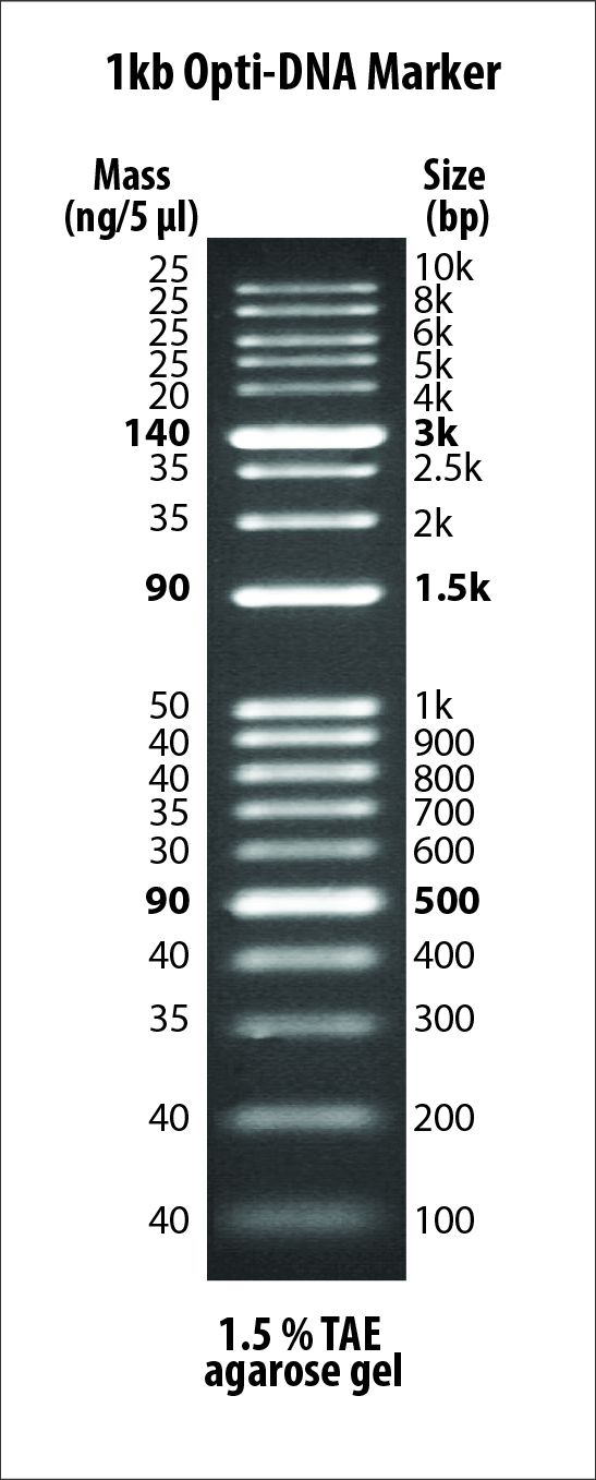 G106 1kb Opti-DNA Marker
