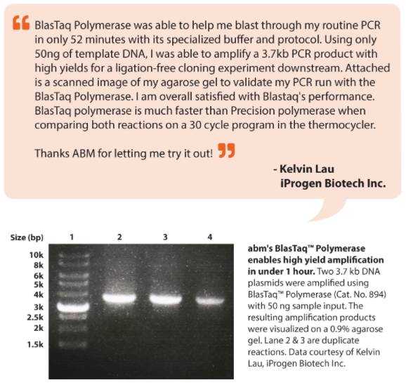 BlasTaq DNA Polymerase Testimonial