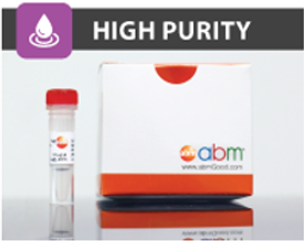 High Purity